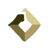 ACAM logo