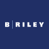 BRIVU logo