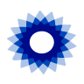 BSA logo