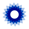 BSIG logo