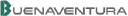 BVN logo