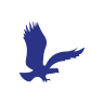 FDEF logo