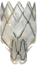 LUNG logo