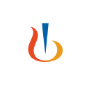 NVS logo