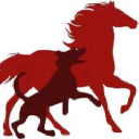 PETV logo