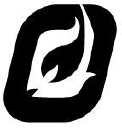 PFIE logo