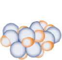 PYPD logo