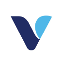 VSI logo